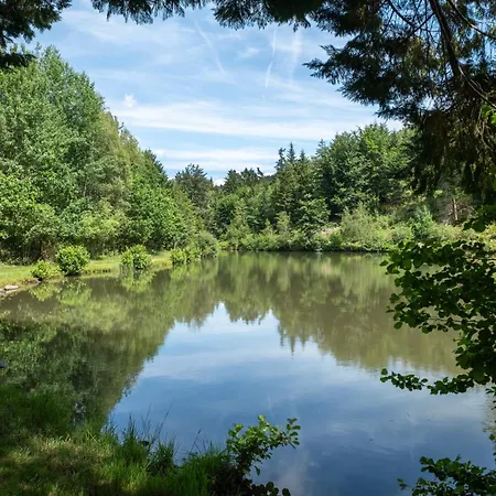 De L'etang Des Fees Daire Saulxures-sur-Moselotte